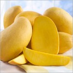 Can I give my baby mango?