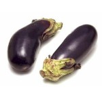 Can I give my baby eggplant?