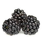 Can I give my baby blackberries?