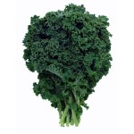 Can I give my baby kale?