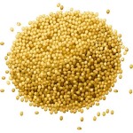 Can I give my baby millet?
