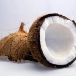 coconut CIGMB