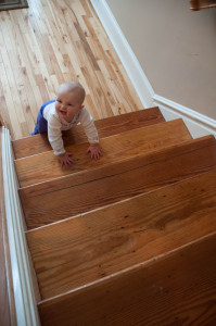 baby gate - how to keep your baby safe at home - safety equipment for babies
